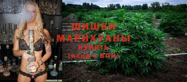 стафф Алзамай