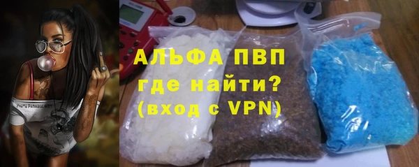 гашик Алексин