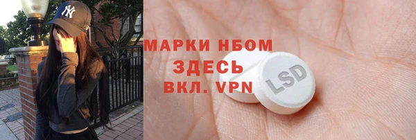 стафф Алзамай