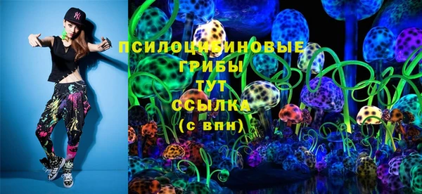 стафф Алзамай