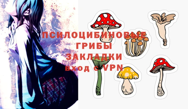 гашик Алексин