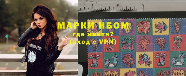 гашик Алексин