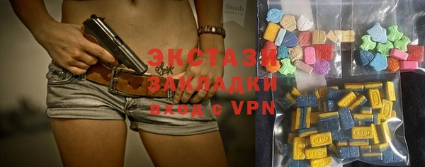 гашик Алексин