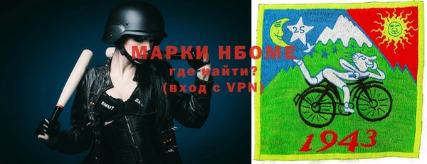 стафф Алзамай